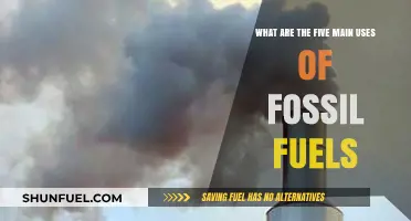 Exploring the Diverse Applications of Fossil Fuels in Modern Life