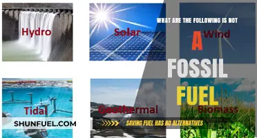 Fossil Fuel Alternatives: What's Not a Fossil Fuel?