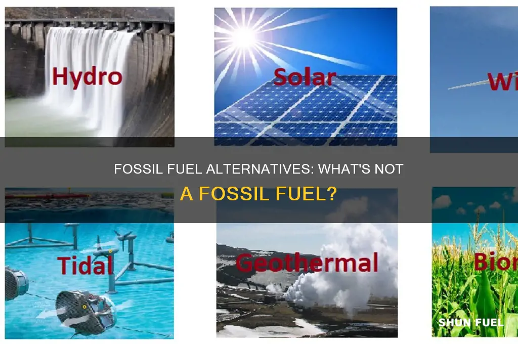 what are the following is not a fossil fuel