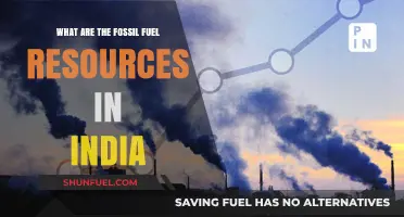 India's Fossil Fuel Resources: An Overview