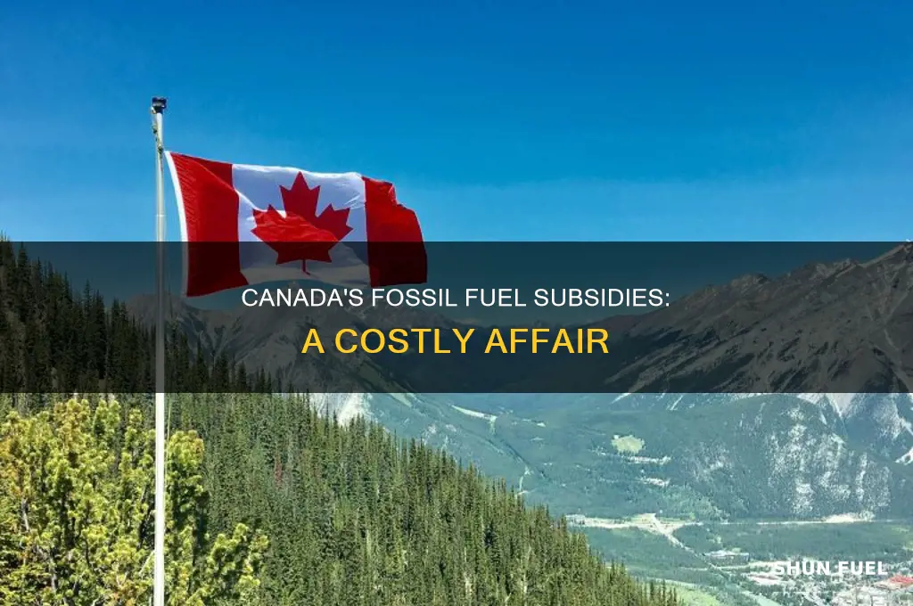 what are the fossil fuel subsidies in canada