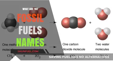 Fossil Fuel Types: Know the Names, Understand the Impact