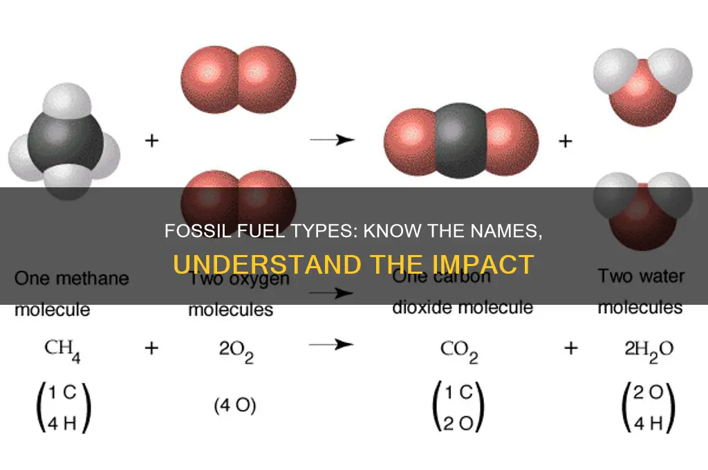 what are the fossil fuels names