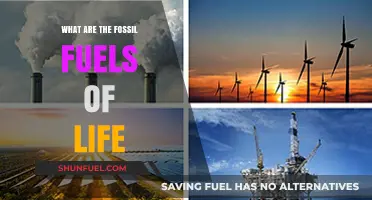 The Energy Sources of Life: Fossil Fuels