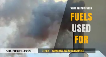 Exploring Fossil Fuels: Their Uses and Impact on Modern Life