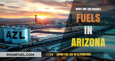 Fossil Fuels in Arizona: Exploring the State's Energy Sources