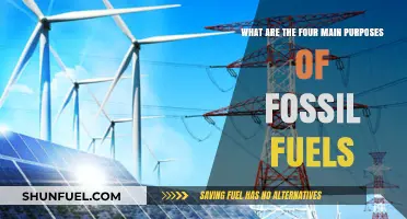 Fossil Fuels: Powering Our World's Four Key Needs