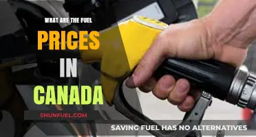 Understanding Canada's Fuel Prices: Trends, Factors, and Regional Variations