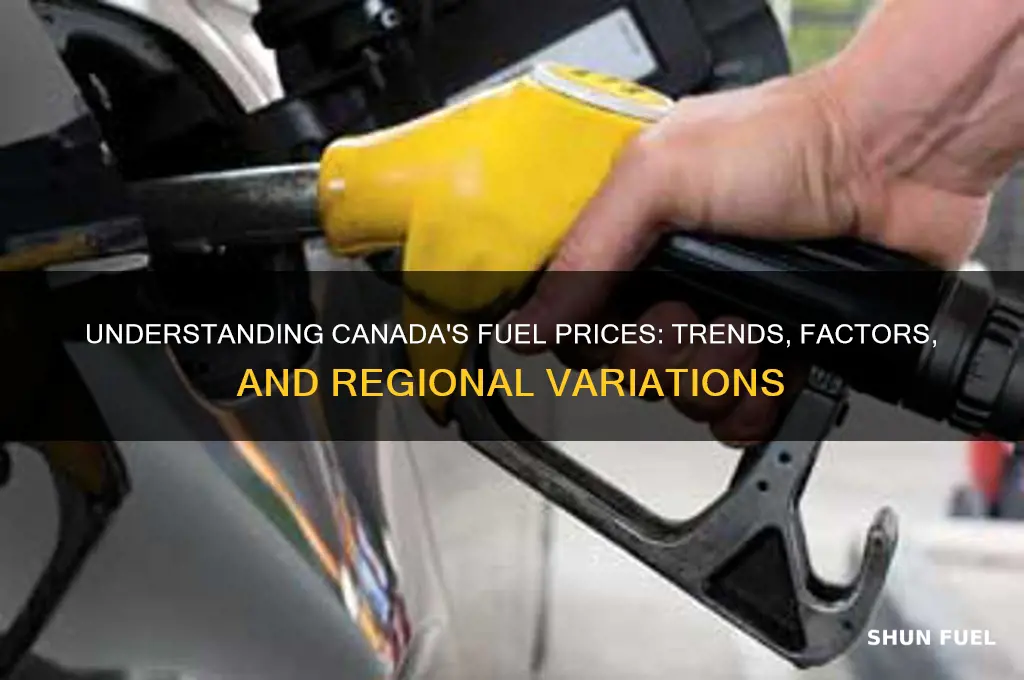 what are the fuel prices in canada