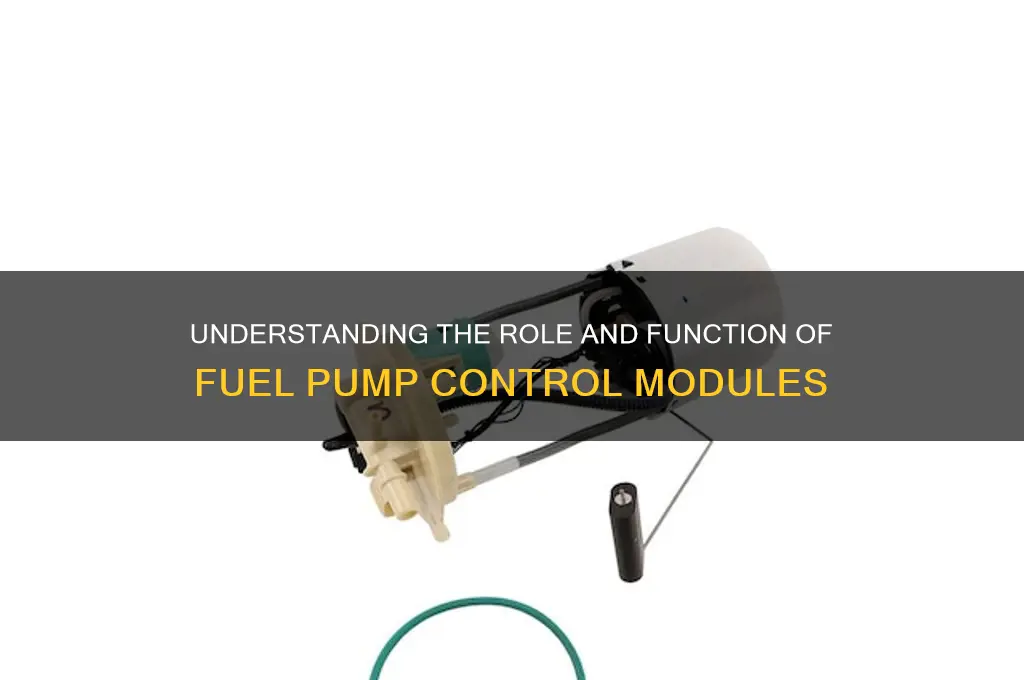 what are the fuel pump control module