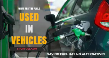Exploring Common Vehicle Fuels: Types, Uses, and Efficiency