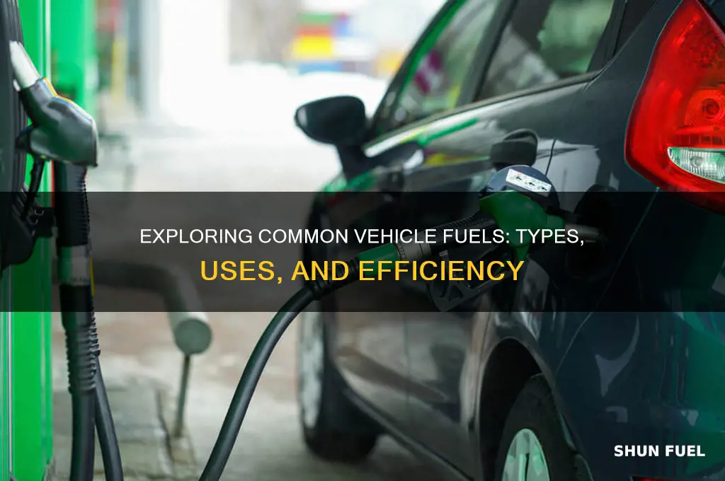 what are the fuels used in vehicles