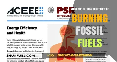 Fossil Fuel Burning: Health Hazards and Environmental Threats