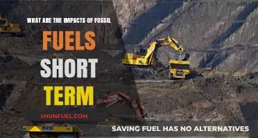 Fossil Fuels: Short-Term Impacts on Our Planet