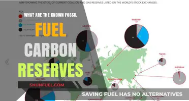 The World's Fossil Fuel Carbon Reserves: A Ticking Time Bomb