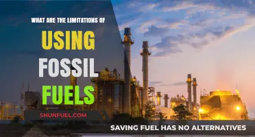 Fossil Fuels' Hidden Costs: Environmental, Economic, and Sustainability Limitations