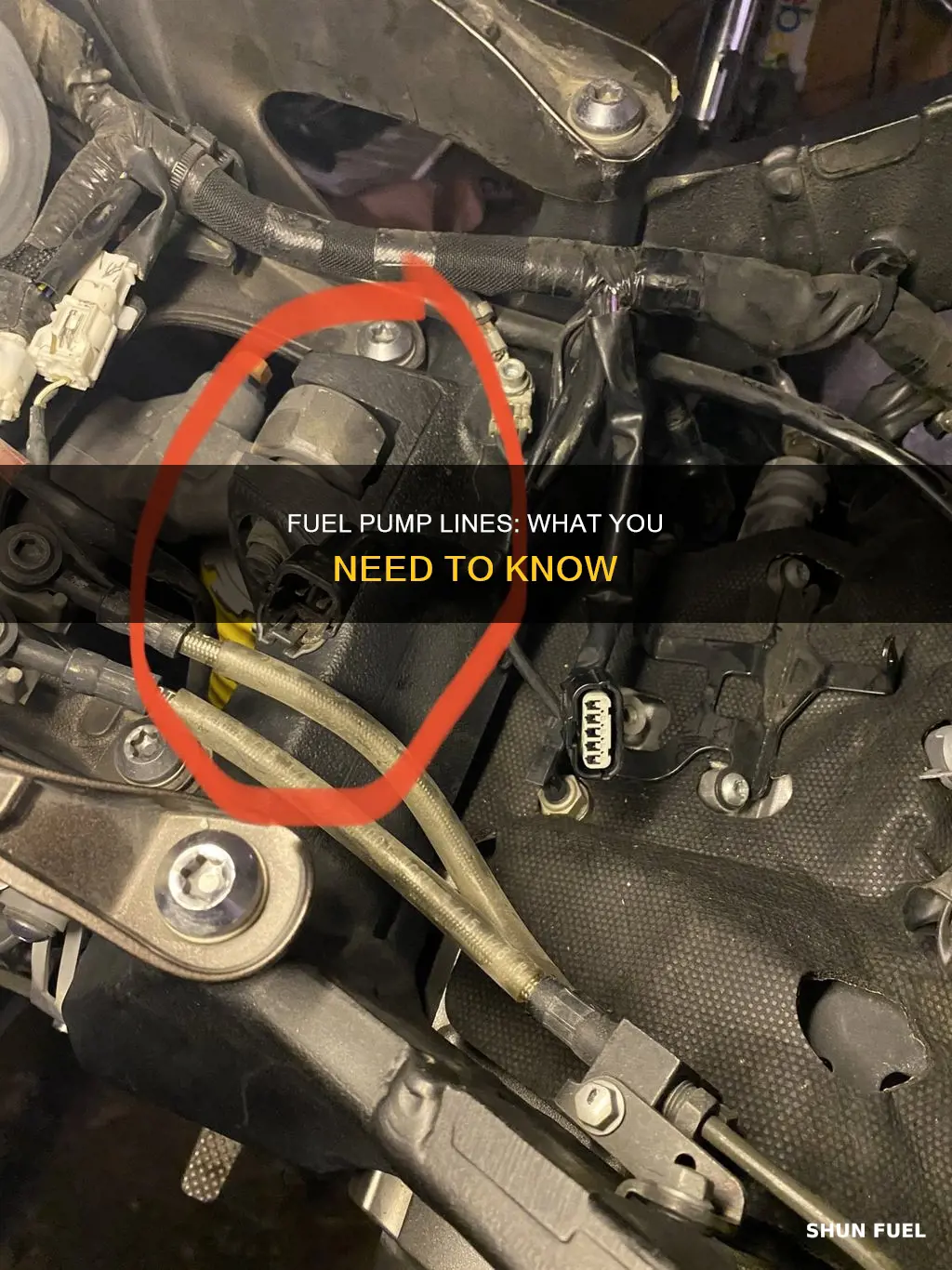 what are the lines attached to the fuel pum