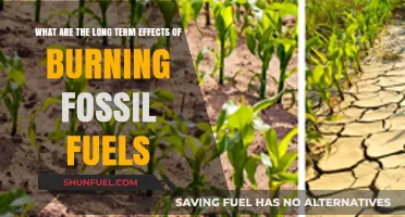 The Dark Side of Fossil Fuels: Long-Term Effects