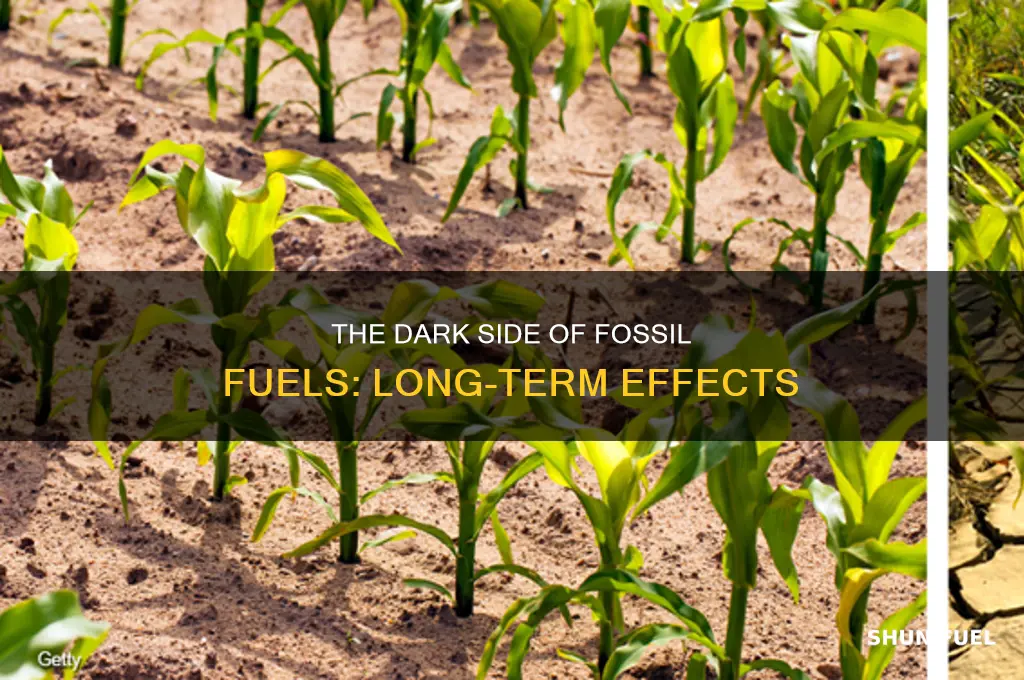 what are the long term effects of burning fossil fuels