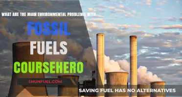 Fossil Fuels: Environmental Impact and Problems