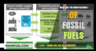 The Power of Fossil Fuels: Key Features