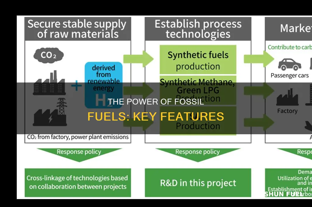 what are the main features of fossil fuels