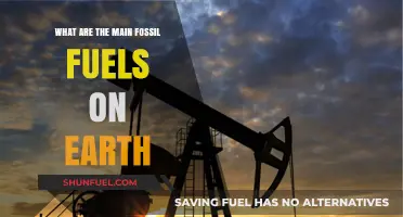 Fossil Fuels: Earth's Main Energy Sources