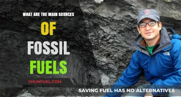The Evolution of Fossil Fuels: Primary Sources