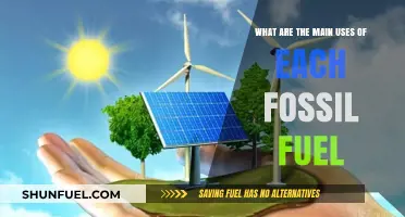 Fossil Fuels: Powering Our World, Uses Explored