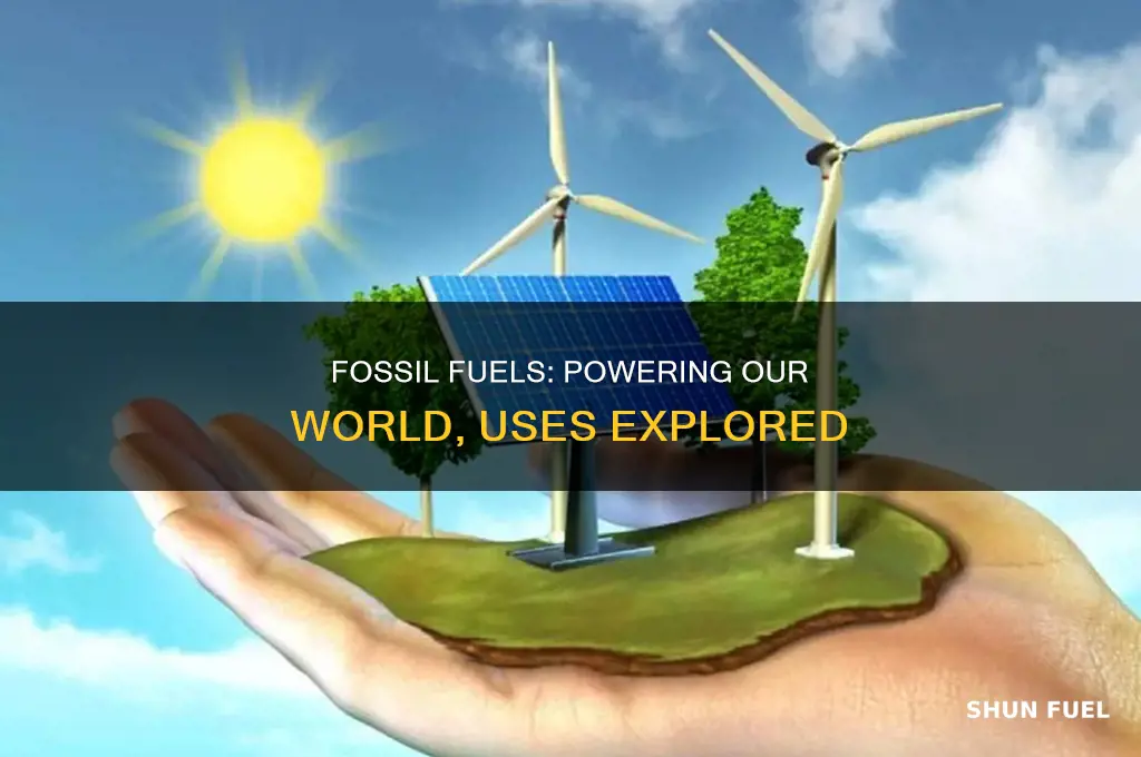 what are the main uses of each fossil fuel