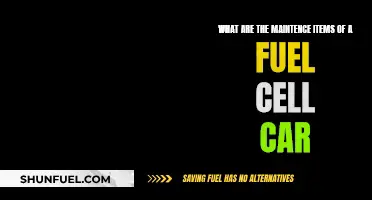 Fuel Cell Car Maintenance: What You Need to Know