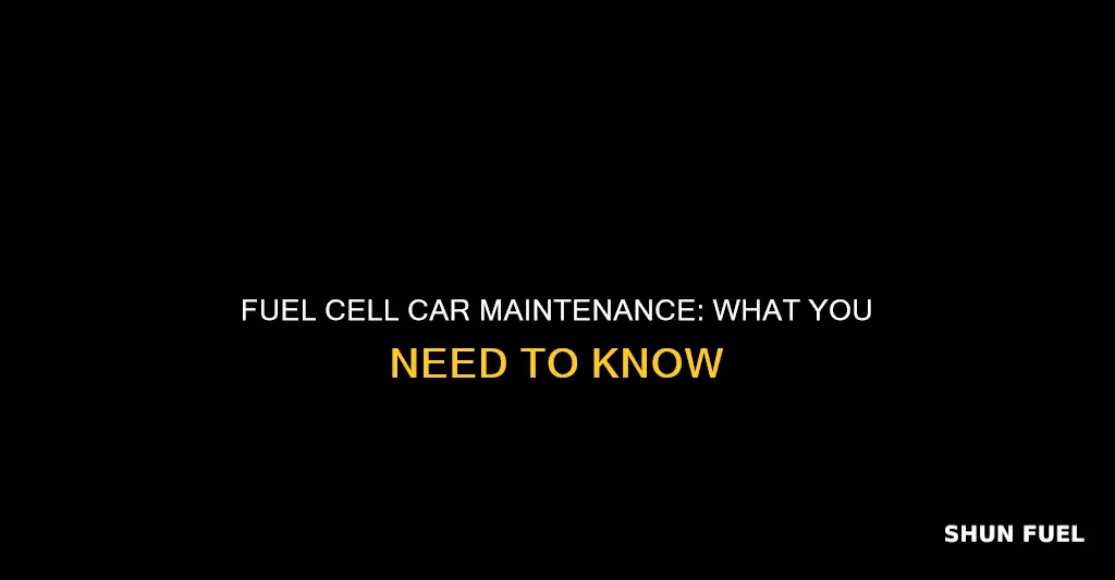 what are the maintence items of a fuel cell car