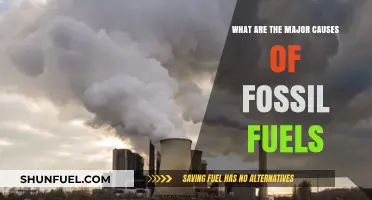 The Downfall of Fossil Fuels: Major Causes