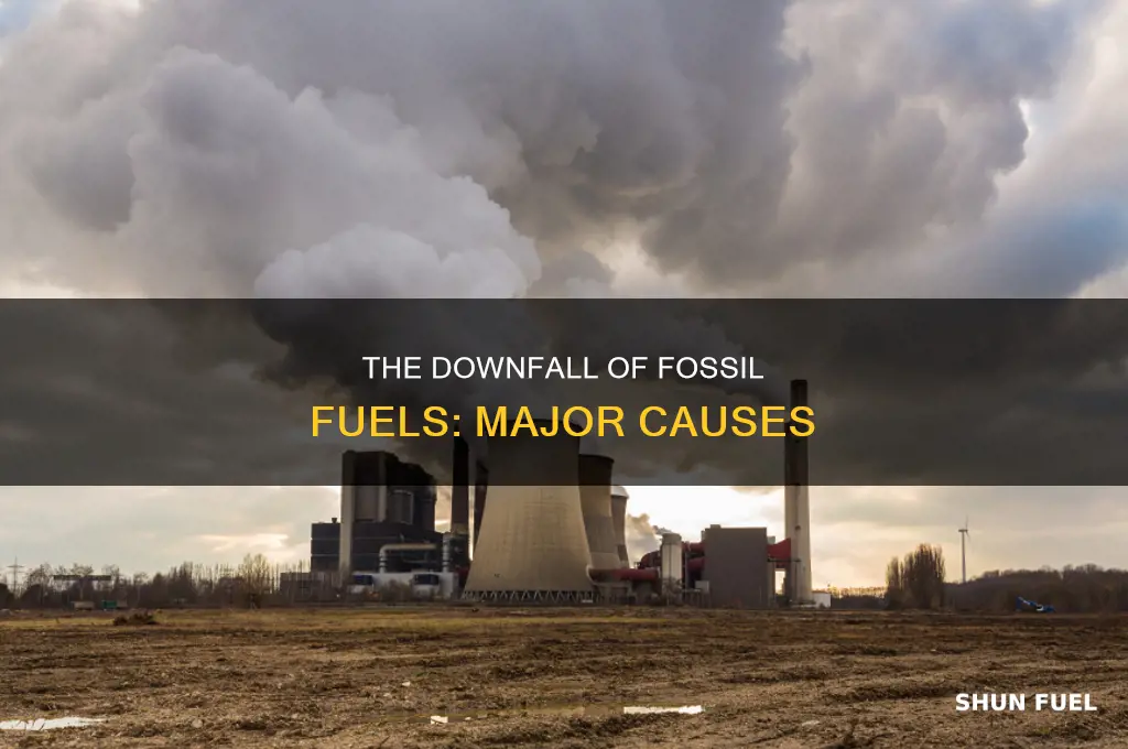 what are the major causes of fossil fuels