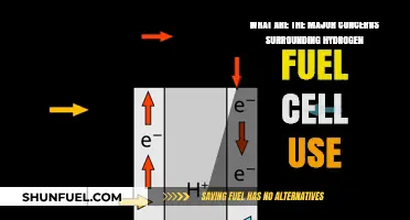 Hydrogen Fuel Cells: Addressing Key Concerns for Sustainable Energy Adoption