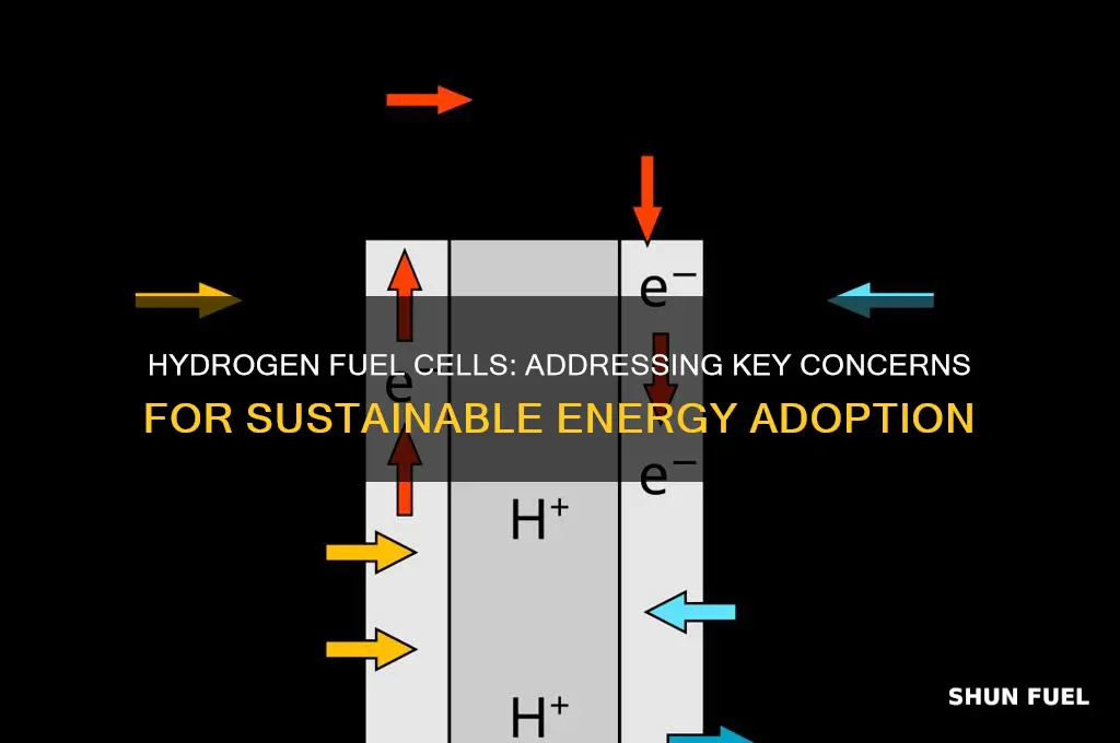 what are the major concerns surrounding hydrogen fuel cell use