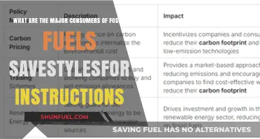 Who Uses Fossil Fuels and Why?