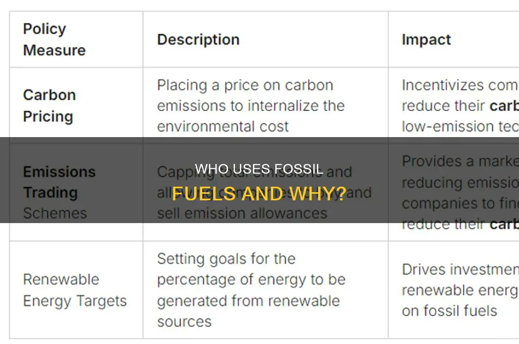 what are the major consumers of fossil fuels savestylesformat instructions