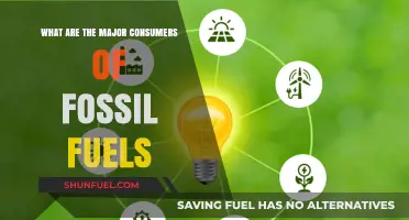 Who Consumes Fossil Fuels the Most?