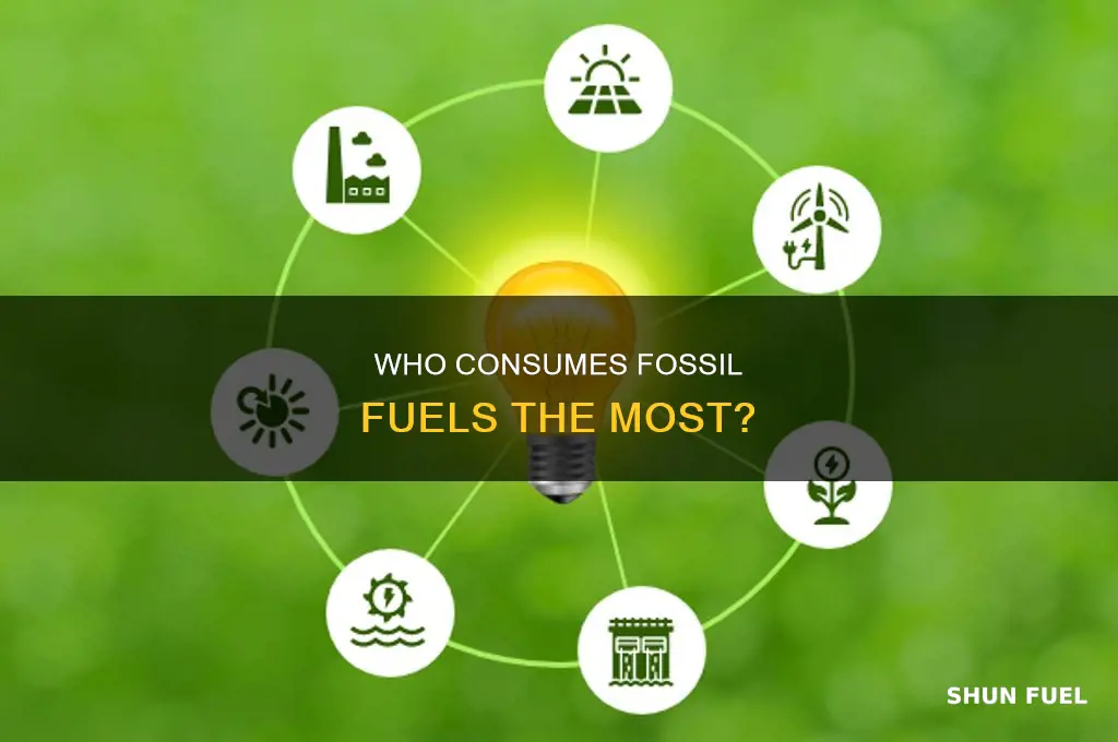 what are the major consumers of fossil fuels