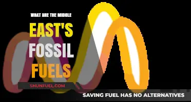 Middle East Fossil Fuels: Powering the World