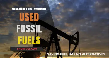 Fossil Fuels: The Most Popular Energy Sources