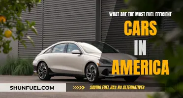 Fuel-Efficient Cars: America's Top Picks for Gas Savings