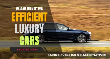 Luxury Cars: Fuel Efficiency Meets Extravagance