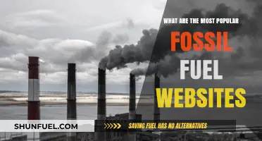 Fossil Fuel Sites: Top Online Destinations for Energy Insights