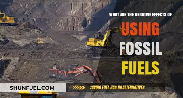 Fossil Fuels: Damaging Our Planet and Our Health