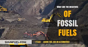 Fossil Fuels: Harmful Impacts and Negative Consequences