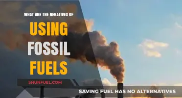 Fossil Fuels' Dark Side: Environmental, Economic, and Health Consequences Explored