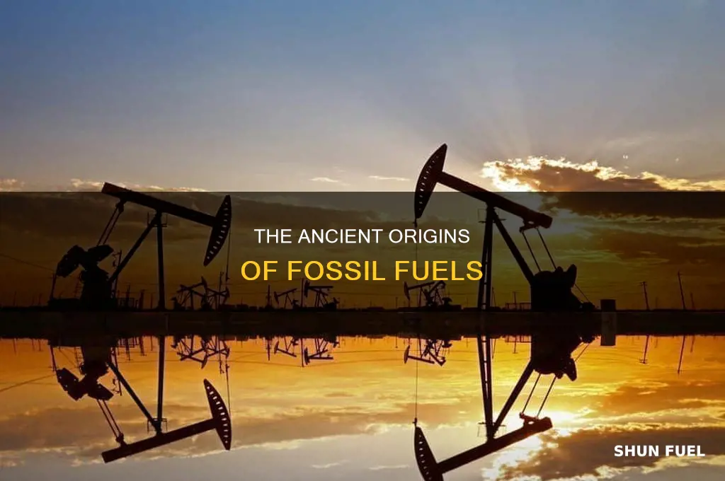 what are the origins of fossil fuels