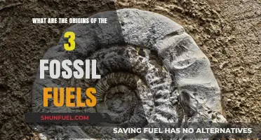 Fossil Fuels' Ancient Origins: A Historical Perspective